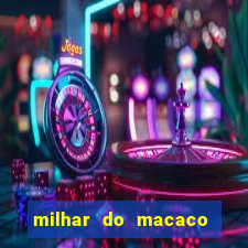 milhar do macaco que mais saem no jogo do bicho