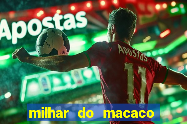 milhar do macaco que mais saem no jogo do bicho