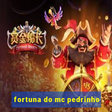 fortuna do mc pedrinho