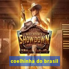 coelhinha do brasil