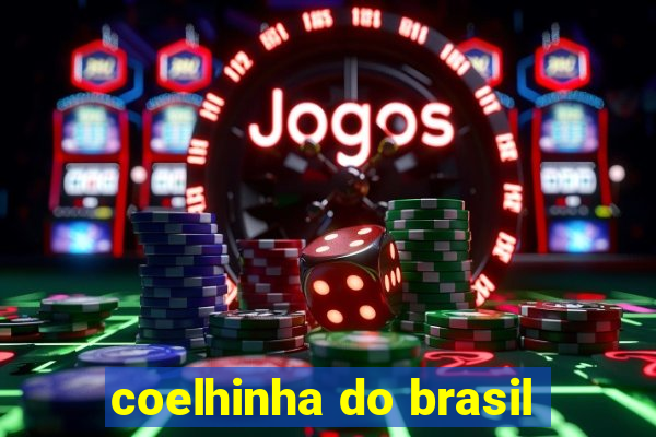 coelhinha do brasil