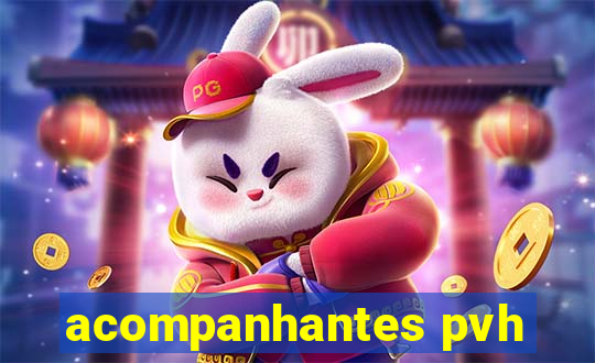 acompanhantes pvh