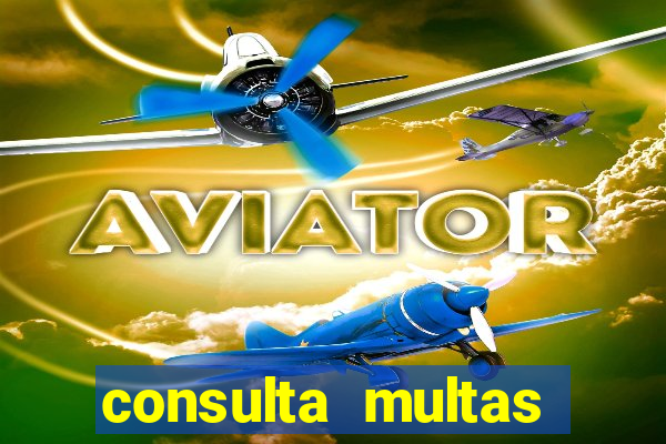 consulta multas detran mg