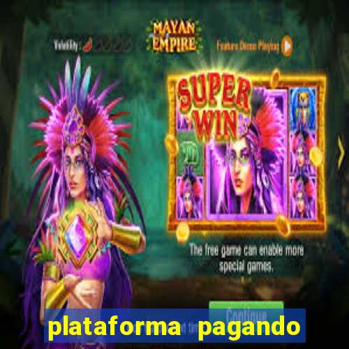 plataforma pagando no cadastro tigre