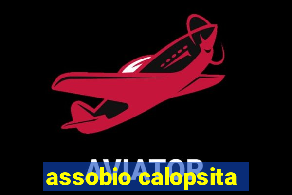 assobio calopsita