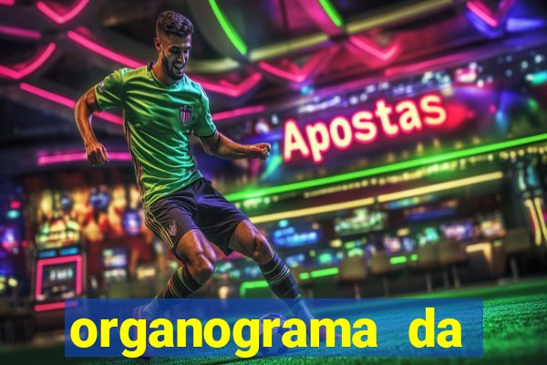 organograma da cacau show