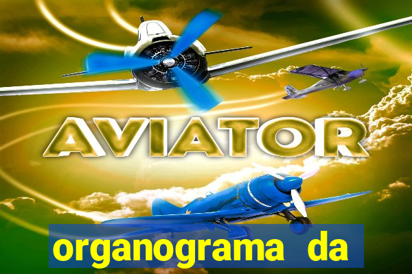 organograma da cacau show