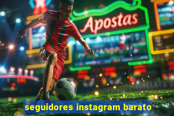 seguidores instagram barato