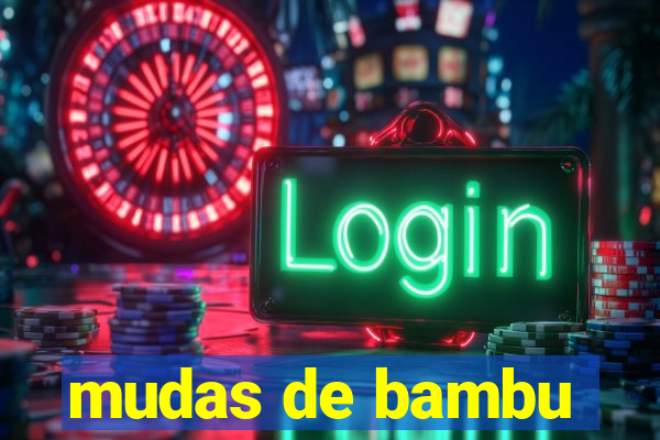 mudas de bambu