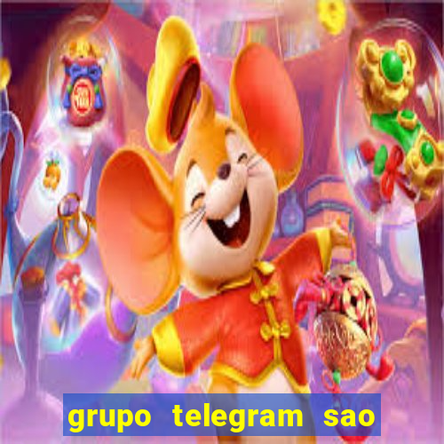 grupo telegram sao jose do rio preto