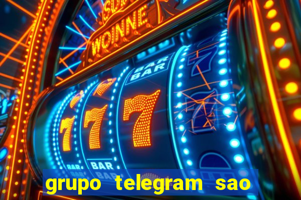 grupo telegram sao jose do rio preto