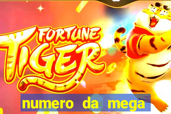 numero da mega sena de onten