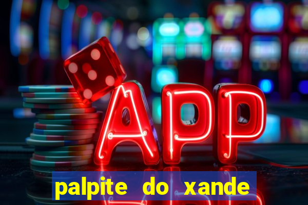 palpite do xande de hoje