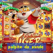 palpite do xande de hoje