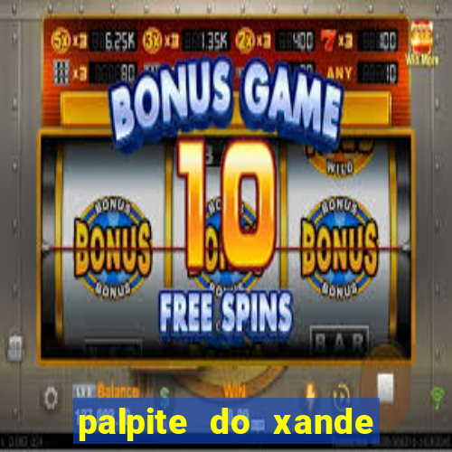 palpite do xande de hoje