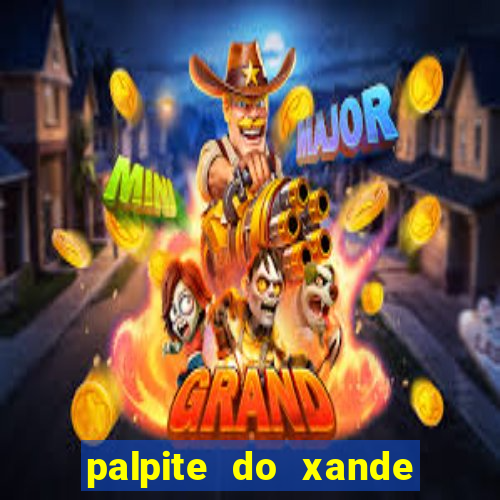 palpite do xande de hoje