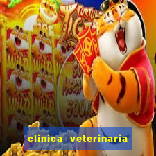 clinica veterinaria cuidar betim