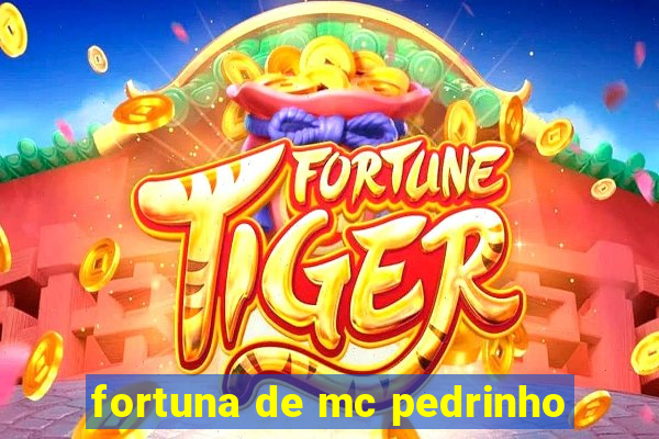 fortuna de mc pedrinho