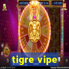 tigre vipe