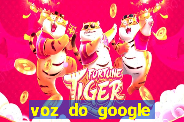 voz do google tradutor homem