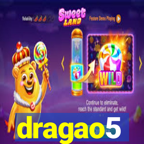 dragao5