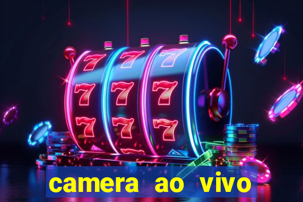 camera ao vivo terminal vila nova cachoeirinha