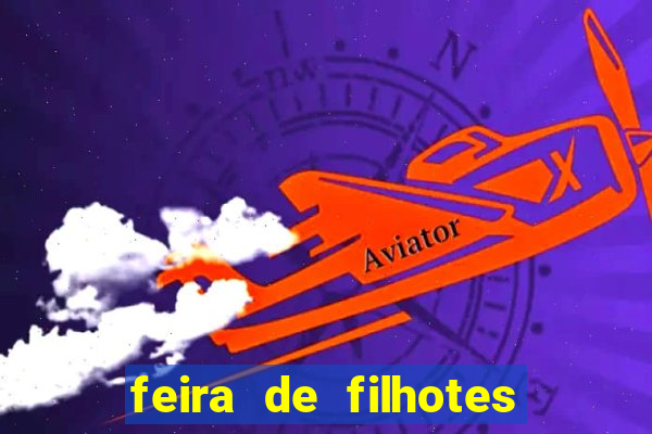 feira de filhotes porto alegre