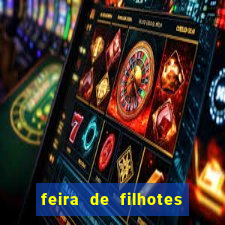 feira de filhotes porto alegre