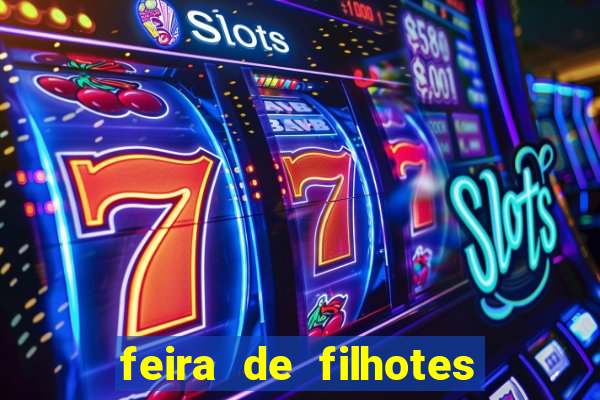 feira de filhotes porto alegre