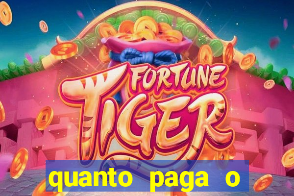 quanto paga o jungle fight