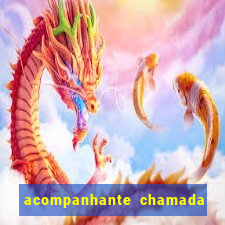 acompanhante chamada de video