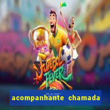 acompanhante chamada de video