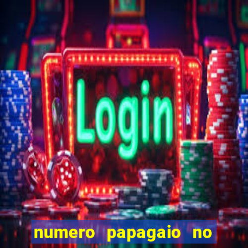 numero papagaio no jogo do bicho