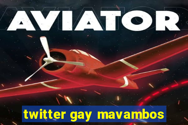 twitter gay mavambos