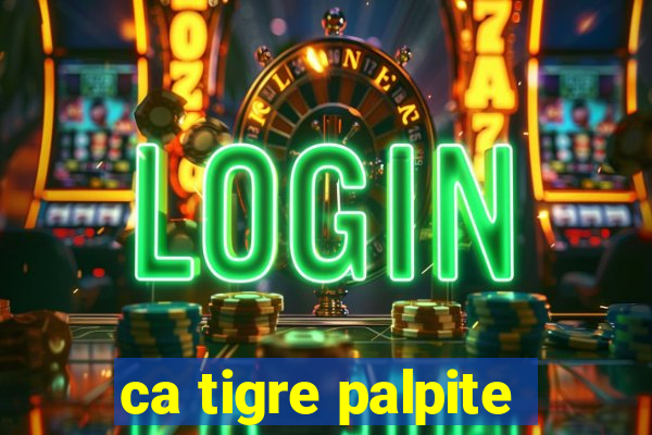 ca tigre palpite