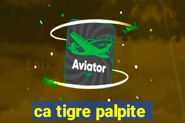 ca tigre palpite