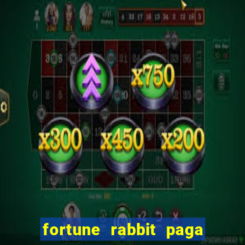 fortune rabbit paga mesmo Informational