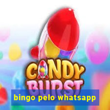 bingo pelo whatsapp