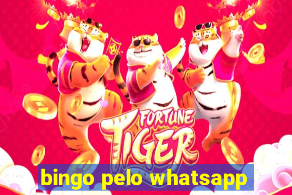 bingo pelo whatsapp