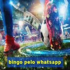 bingo pelo whatsapp