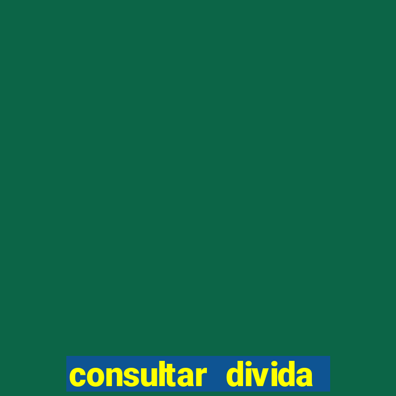 consultar divida casas bahia