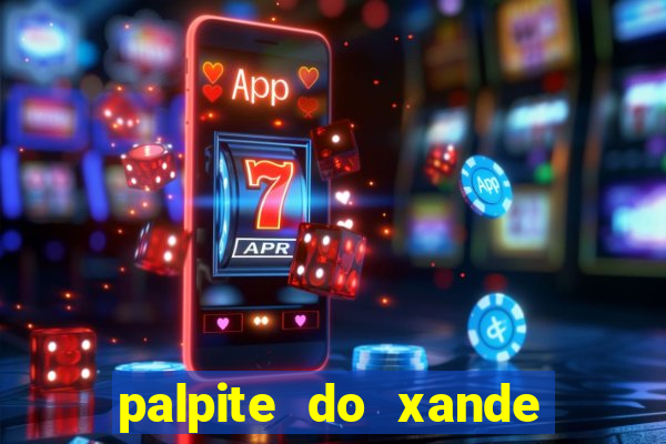 palpite do xande para hoje