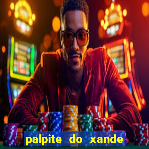 palpite do xande para hoje