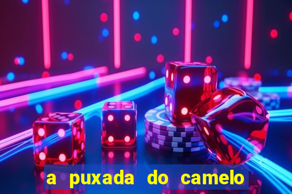 a puxada do camelo no jogo do bicho