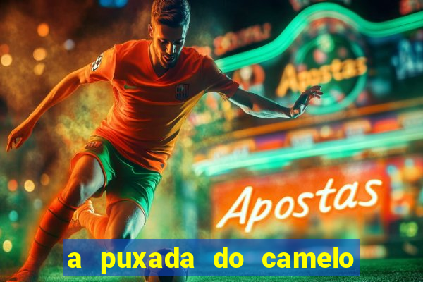 a puxada do camelo no jogo do bicho