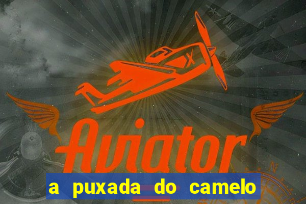 a puxada do camelo no jogo do bicho