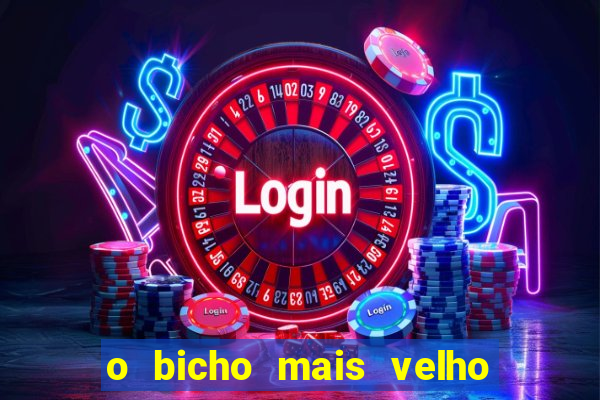 o bicho mais velho da loteria dos sonhos