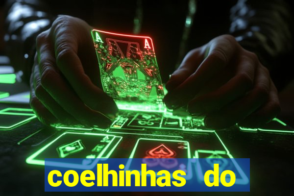 coelhinhas do brasil jp