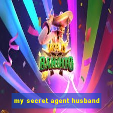 my secret agent husband