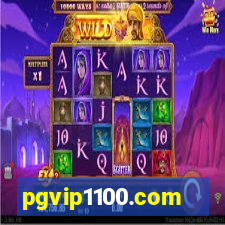 pgvip1100.com